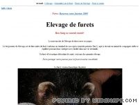 Elevage de furet - la furetiere.com